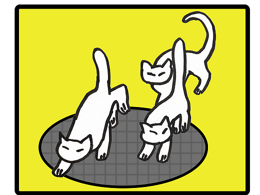 猫咪与井盖