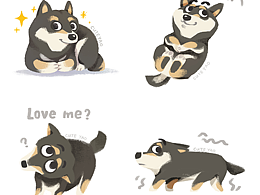 一份惊奇小狗合辑