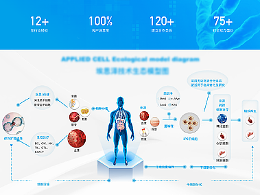 UI界面設計（個人主頁-ZNzA3ODYyNDA=） - 企業(yè)官網(wǎng) - 站酷設計師Z478301169原創(chuàng)素材 - 站酷ZCOOL