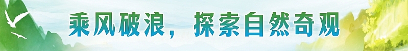 学生研学户外横幅/条幅（图ZMzgwNjQ0NzIw） - 宣传物料 - 站酷设计师橘笙楠兮原创素材 - 站酷ZCOOL