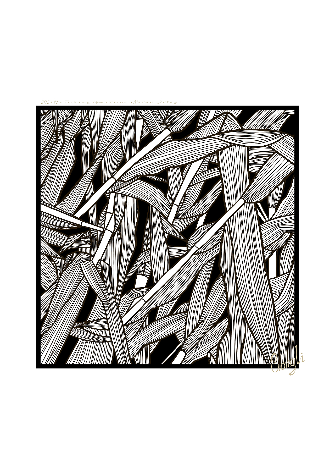 满满都是没啥用的秸秆