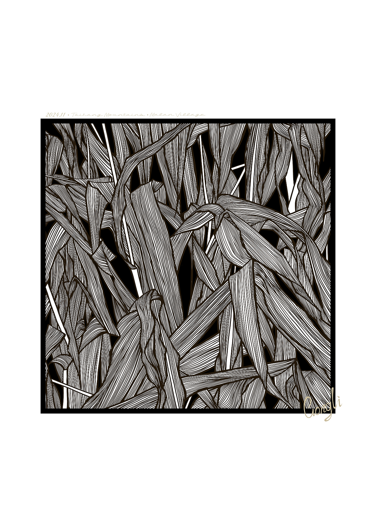 满满都是没啥用的秸秆