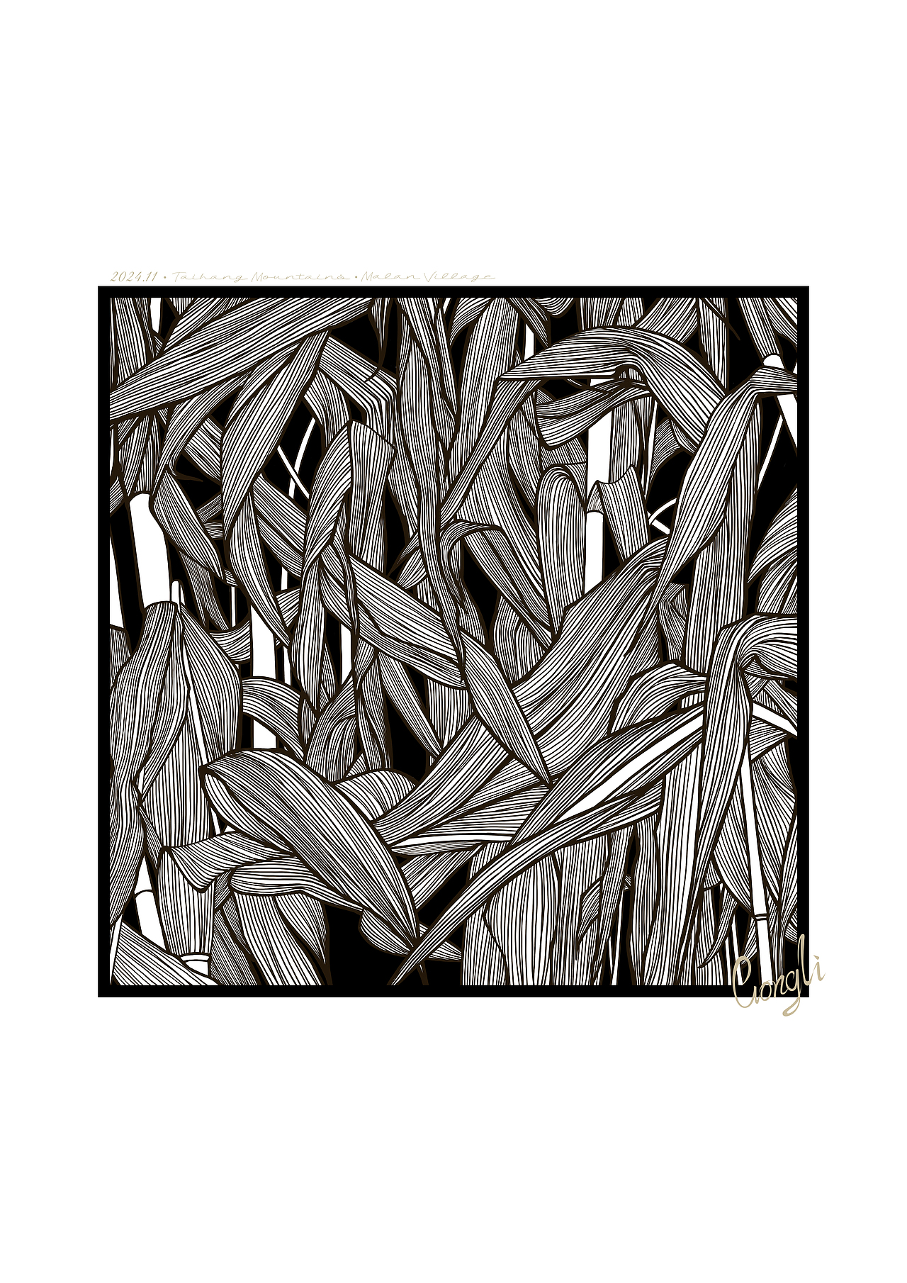 满满都是没啥用的秸秆