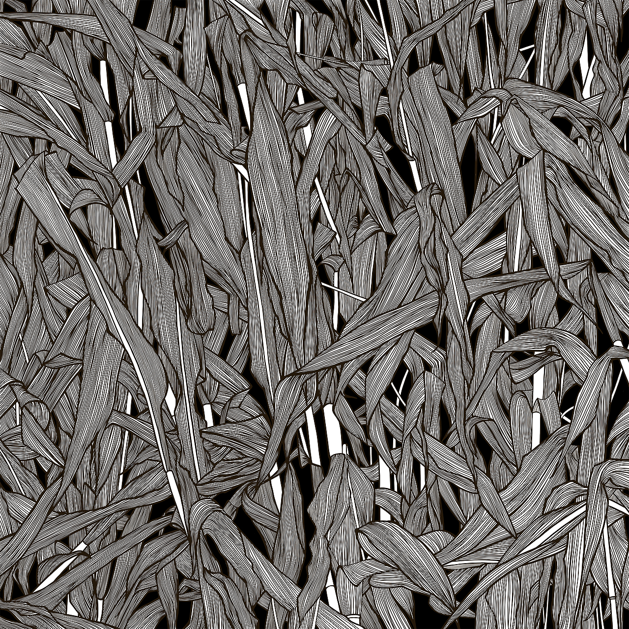 满满都是没啥用的秸秆