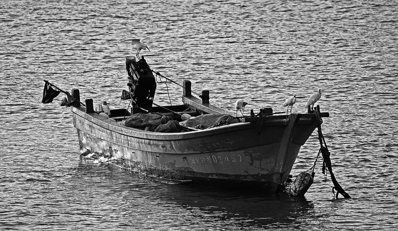 渔船白鹭,后期,三种色彩对比