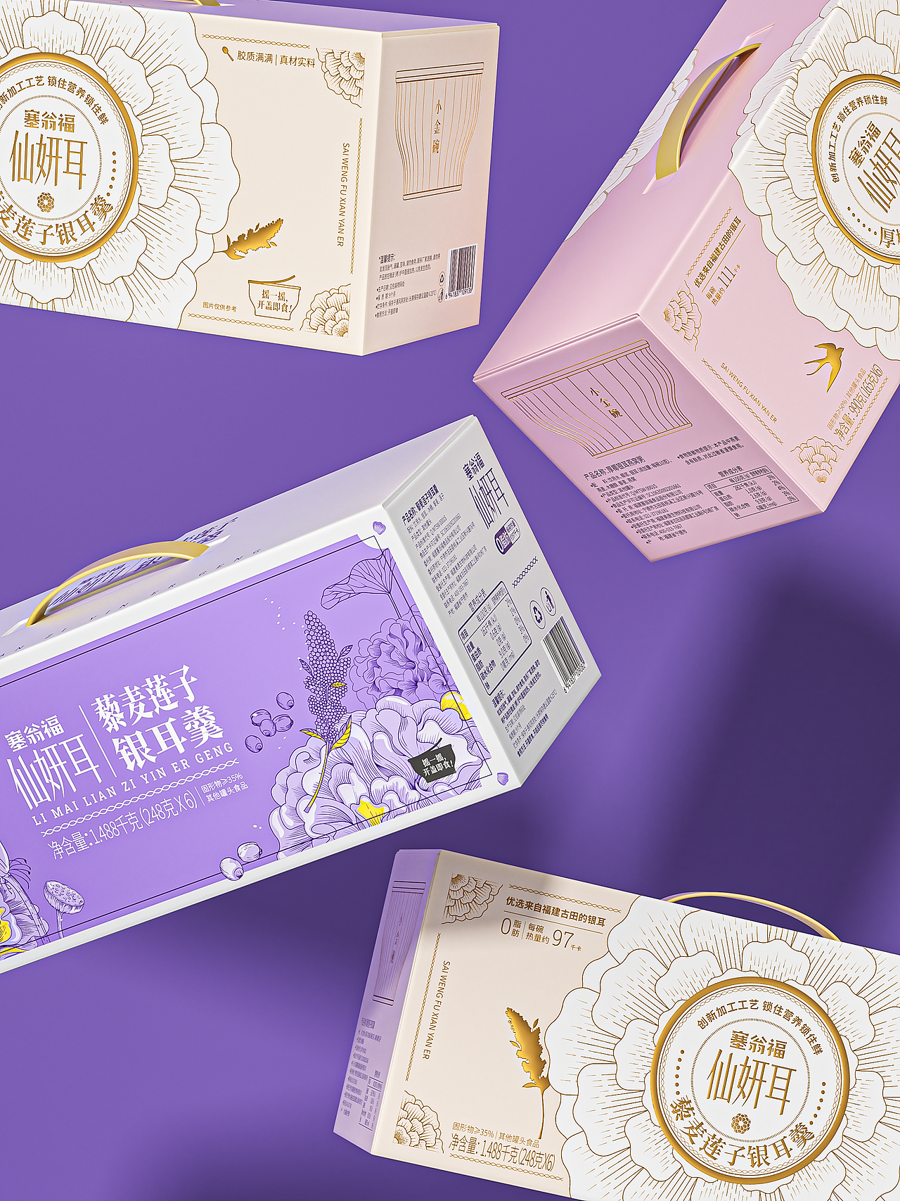 2024 包装项目年度总结（上）