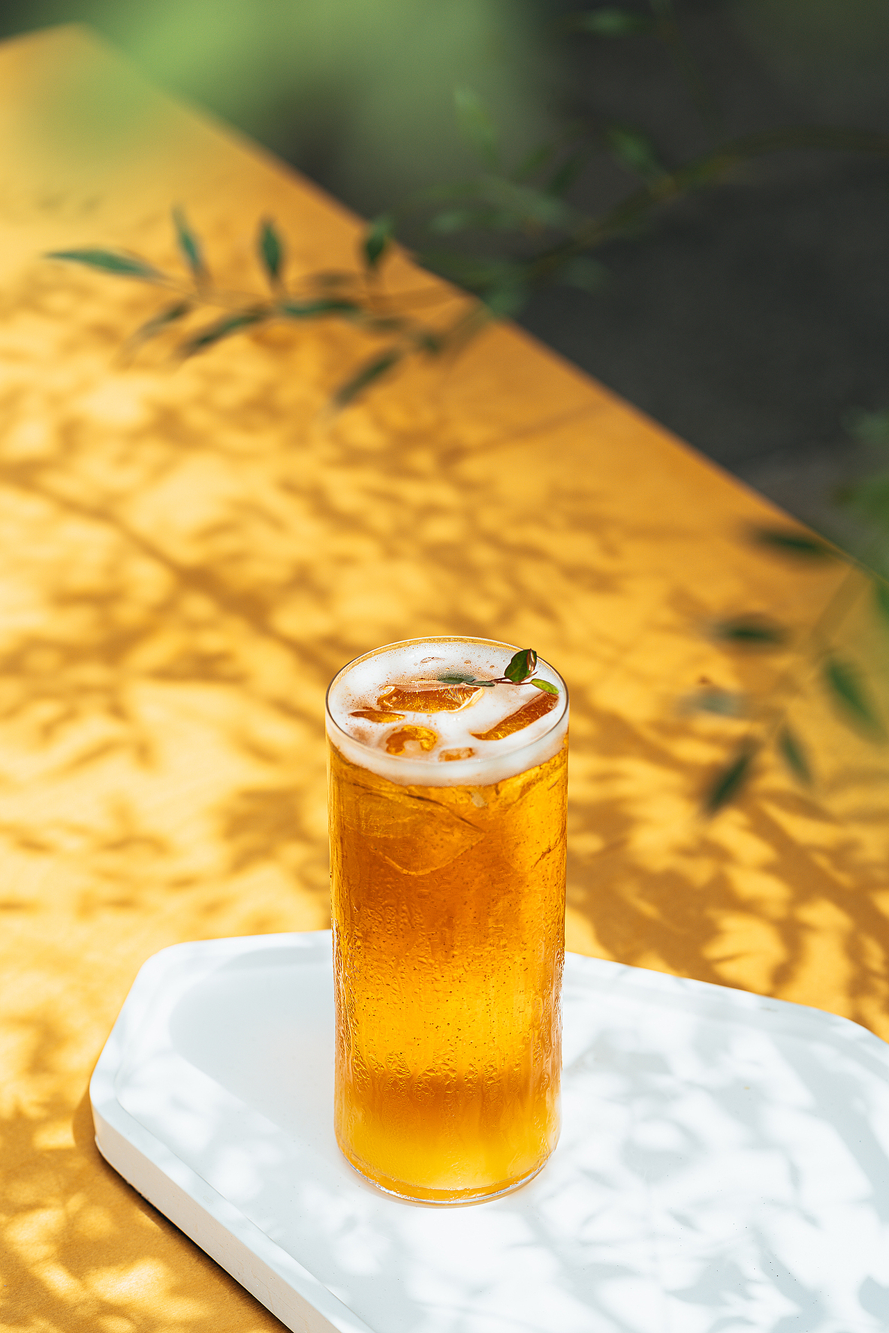 叶外茶室|产品图 2023/08