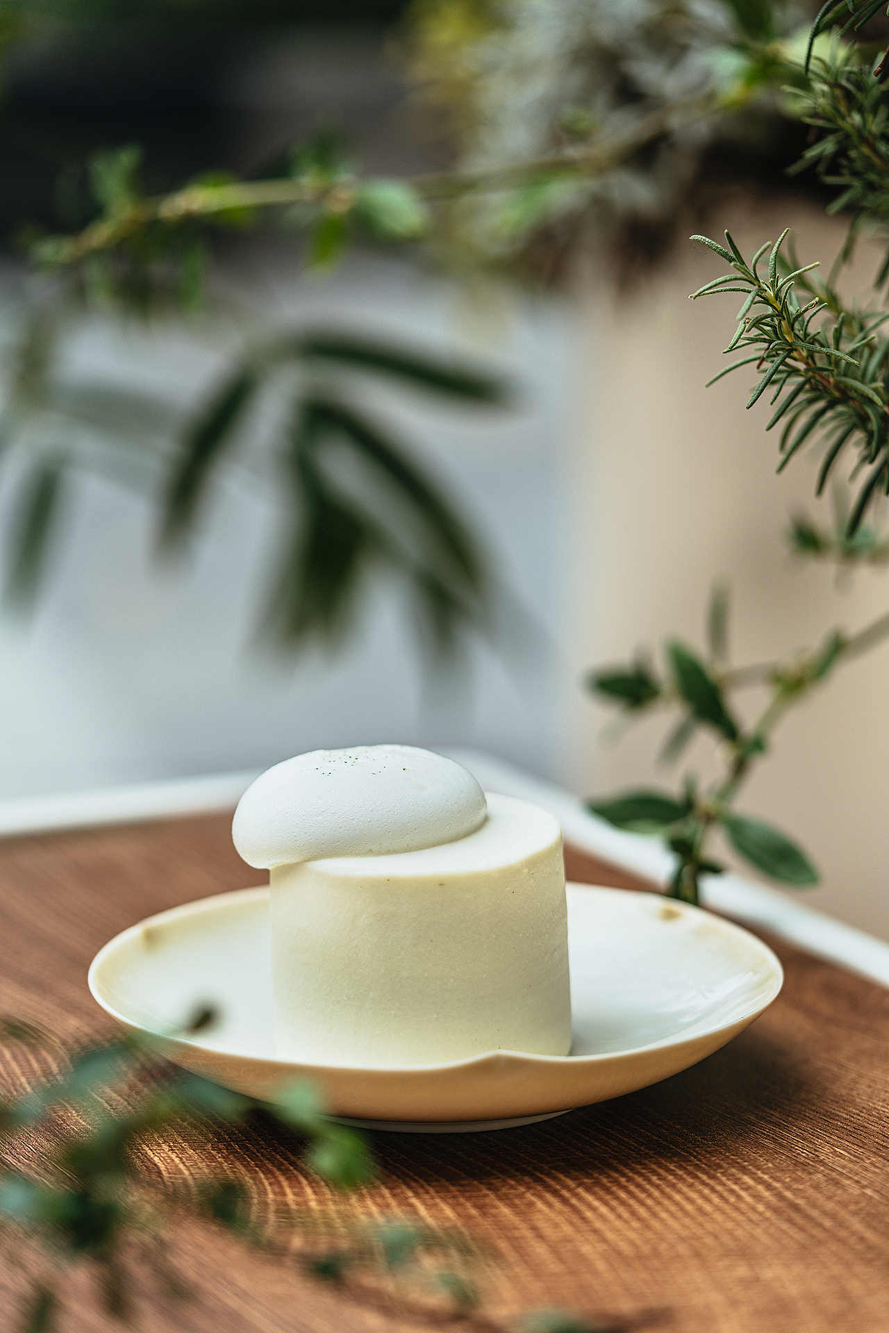 叶外茶室|产品图 2023/08