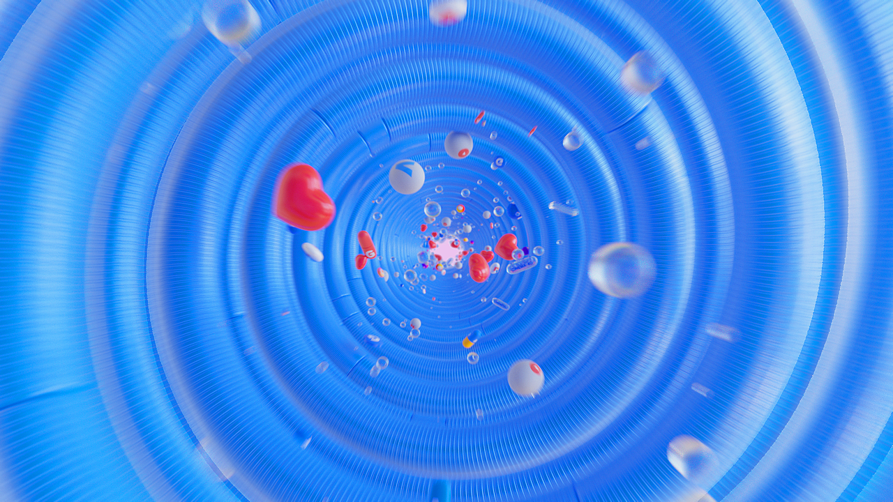 Motion Roid