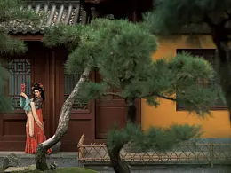 摄影              