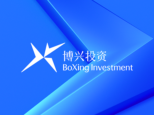 Boxing Investment | 博兴投资