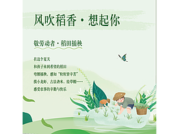 农事体验亲子户外插秧活动插画