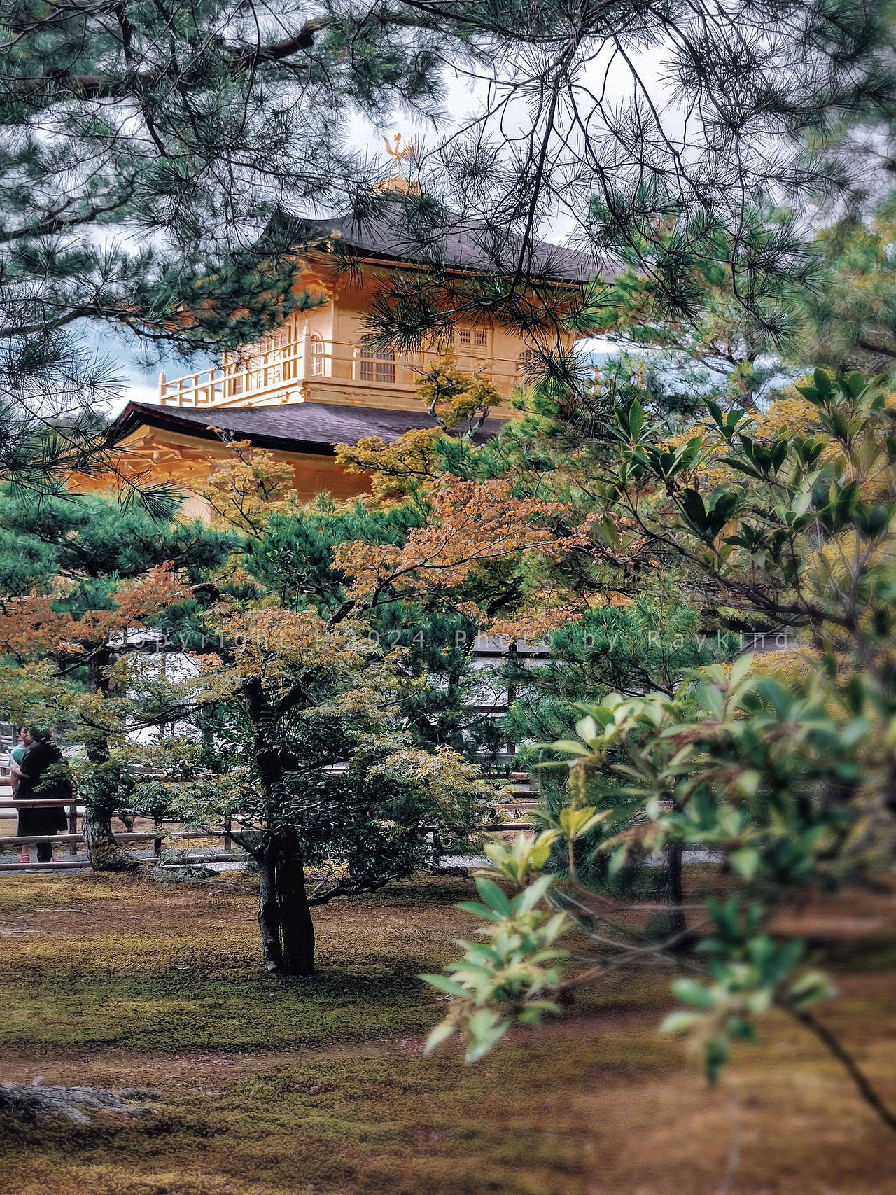 体味静谧禅宗美学——京都的古寺庭院(图ZMzgwODUwMzAw) - 环境/建筑摄影 - 站酷设计师金钻子原创素材 - 站酷ZCOOL