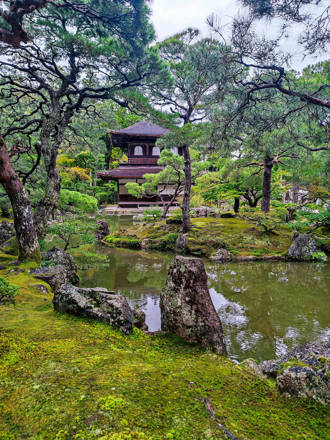 体味静谧禅宗美学——京都的古寺庭院(图ZMzgwODUwMzMy) - 环境/建筑摄影 - 站酷设计师金钻子原创素材 - 站酷ZCOOL