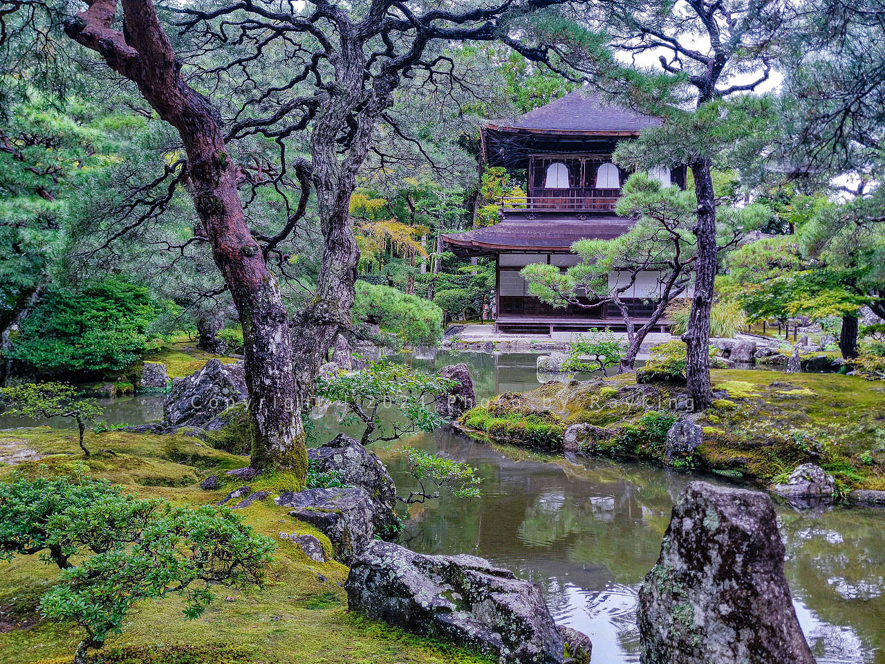 体味静谧禅宗美学——京都的古寺庭院(图ZMzgwODUwMzM2) - 环境/建筑摄影 - 站酷设计师金钻子原创素材 - 站酷ZCOOL