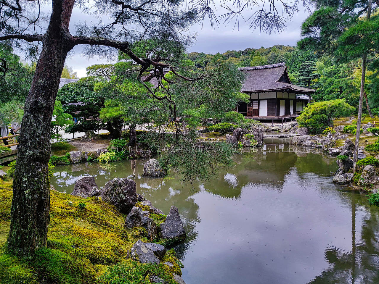 体味静谧禅宗美学——京都的古寺庭院(图ZMzgwODUwMzQw) - 环境/建筑摄影 - 站酷设计师金钻子原创素材 - 站酷ZCOOL