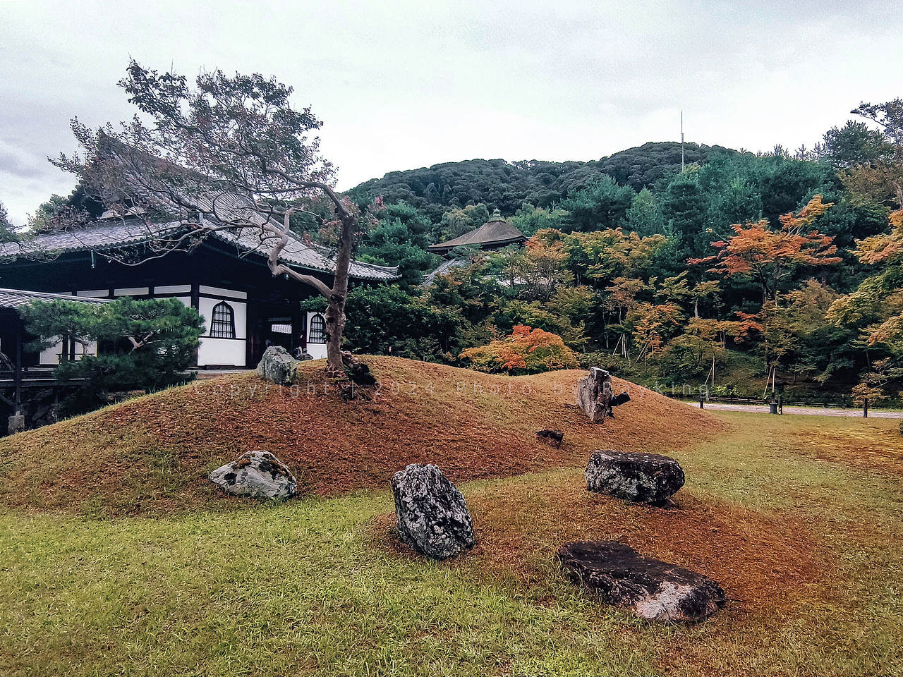 体味静谧禅宗美学——京都的古寺庭院(图ZMzgwODUwNDIw) - 环境/建筑摄影 - 站酷设计师金钻子原创素材 - 站酷ZCOOL