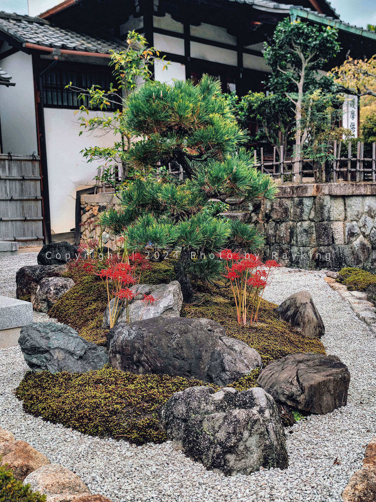 体味静谧禅宗美学——京都的古寺庭院(图ZMzgwODUxMDIw) - 环境/建筑摄影 - 站酷设计师金钻子原创素材 - 站酷ZCOOL