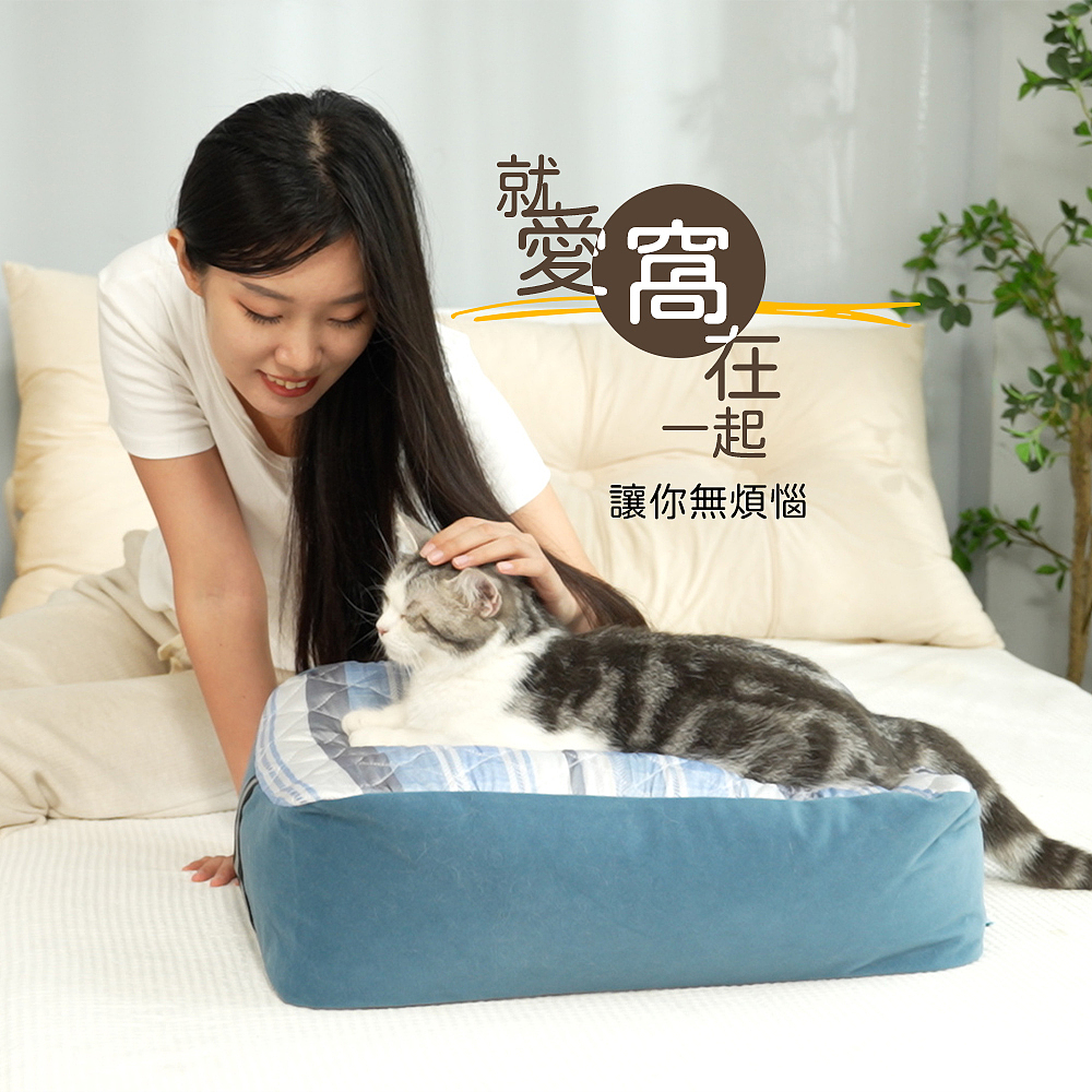 宠物玩具窝拍摄制作详情设计广告摄影视频主图亚马逊跨