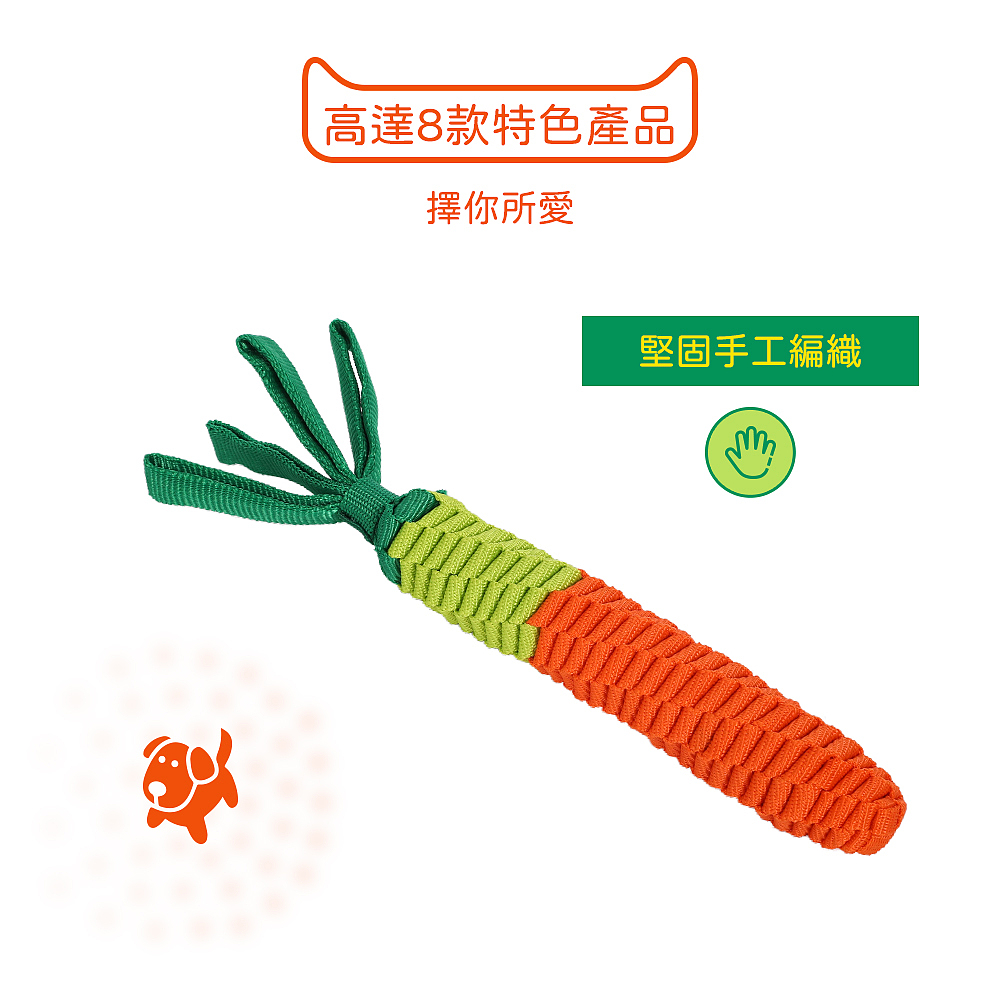 宠物玩具窝拍摄制作详情设计广告摄影视频主图亚马逊跨