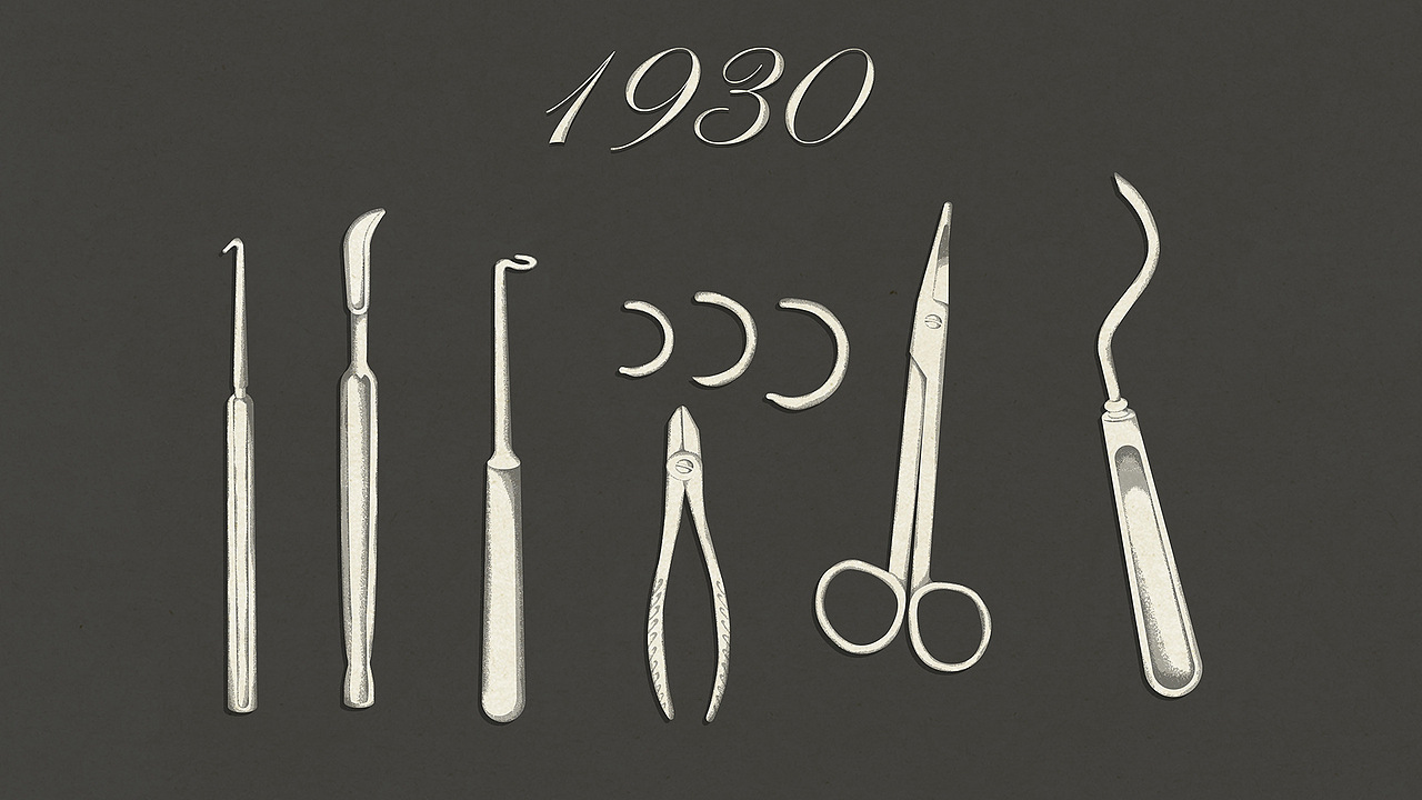 【TED-Ed】肾移植 科普动画