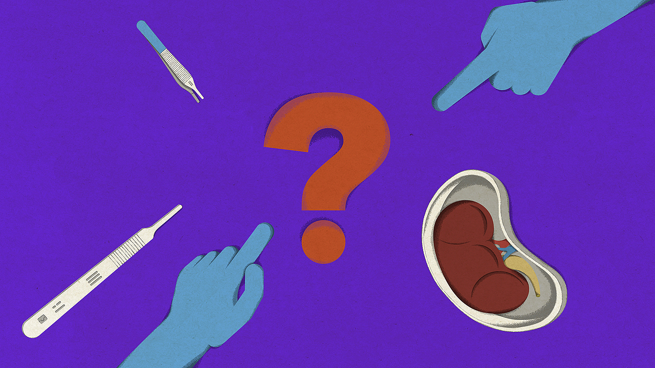 【TED-Ed】肾移植 科普动画