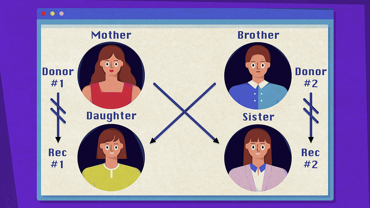 【TED-Ed】肾移植 科普动画