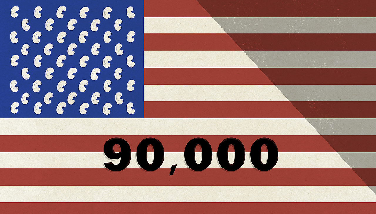 【TED-Ed】肾移植 科普动画