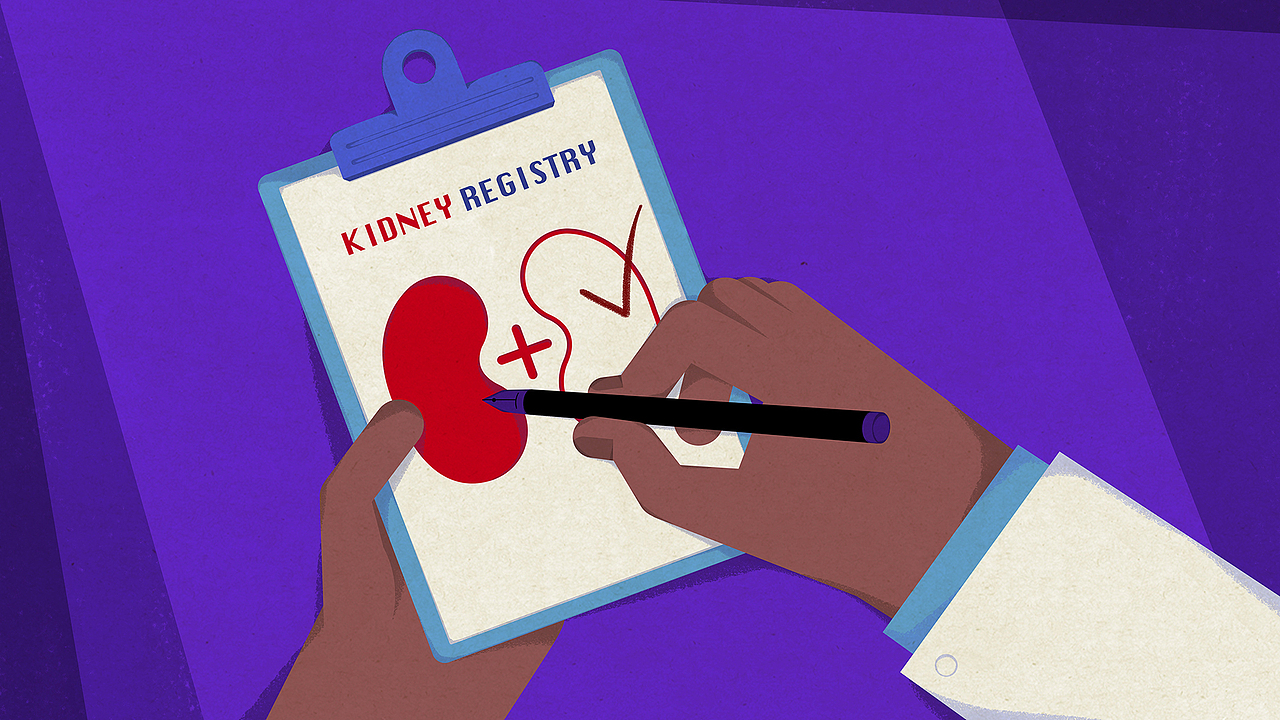 【TED-Ed】肾移植 科普动画