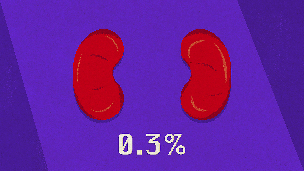 【TED-Ed】肾移植 科普动画