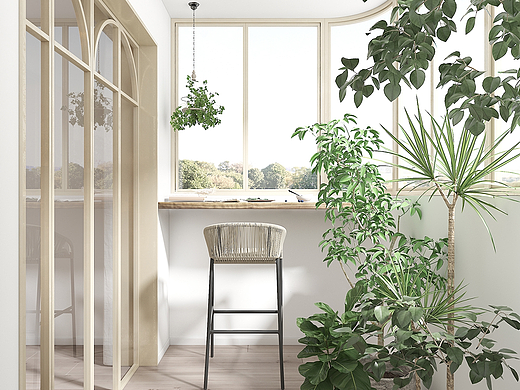 盆栽植物不仅是装饰，更是情感与生活的一部分