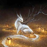 sea娜娜的头像