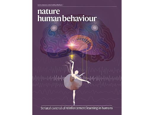 项目——神经科学（纹状体与再励学习）