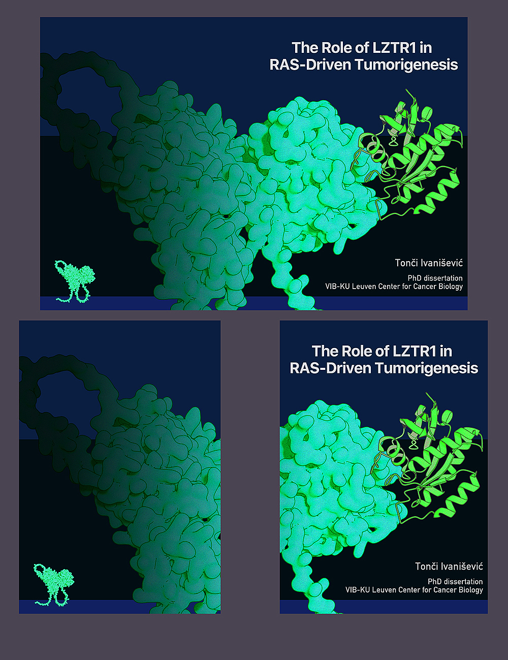 项目——分子生物学（书封）