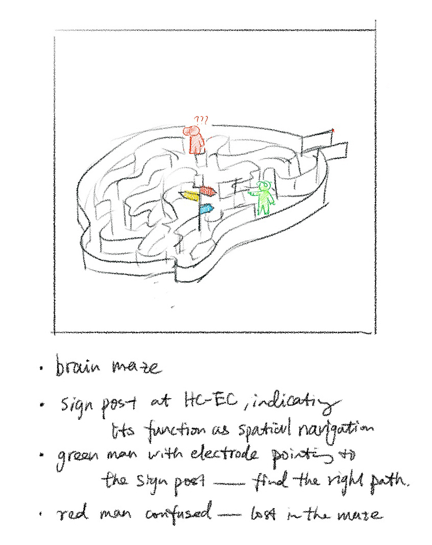 项目——脑科学(海马体与方位感知)