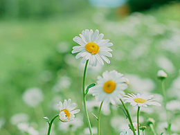 美妆产品成分海报