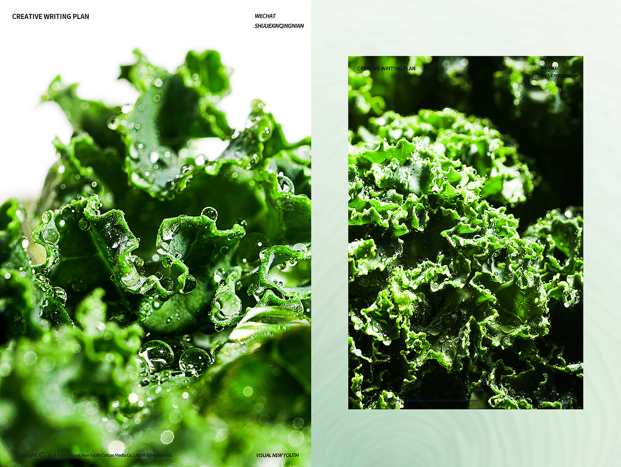 ● 创意摄影 | 当微距镜头遇见食物，细节都成了艺术（图ZMzgwODcwOTg4） - 产品摄影 - 站酷设计师视觉新青年创意原创素材 - 站酷ZCOOL