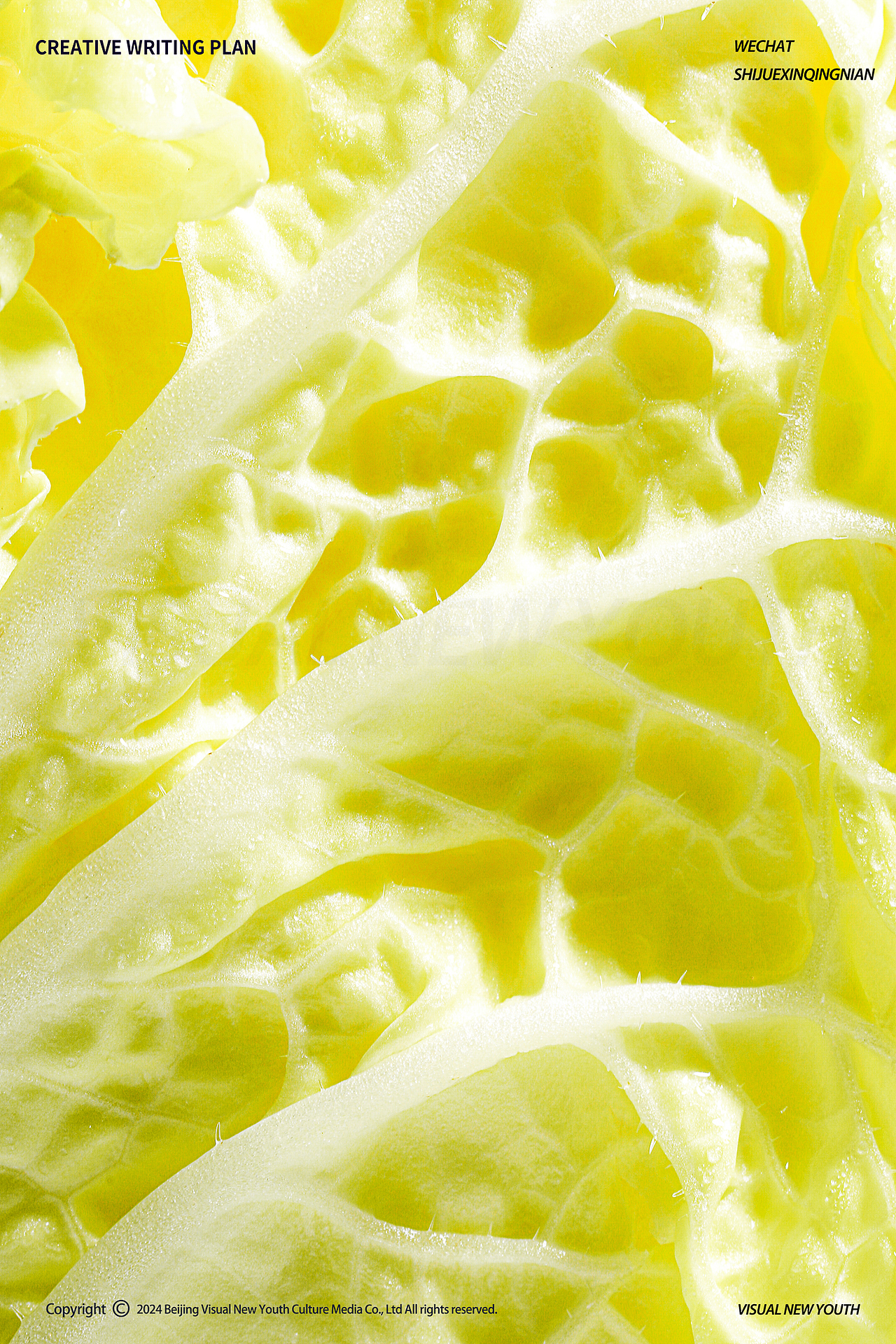 ● 创意摄影 | 当微距镜头遇见食物，细节都成了艺术（图ZMzgwODcxMDAw） - 产品摄影 - 站酷设计师视觉新青年创意原创素材 - 站酷ZCOOL