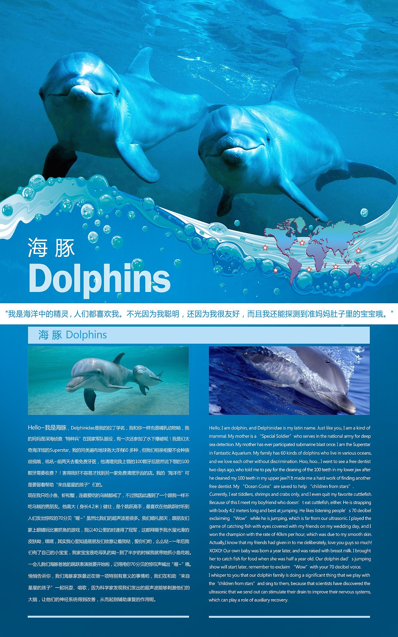 海水区动物介绍牌-海豚