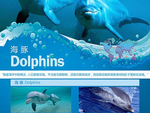 海洋动物科普介绍广告灯箱画面设计