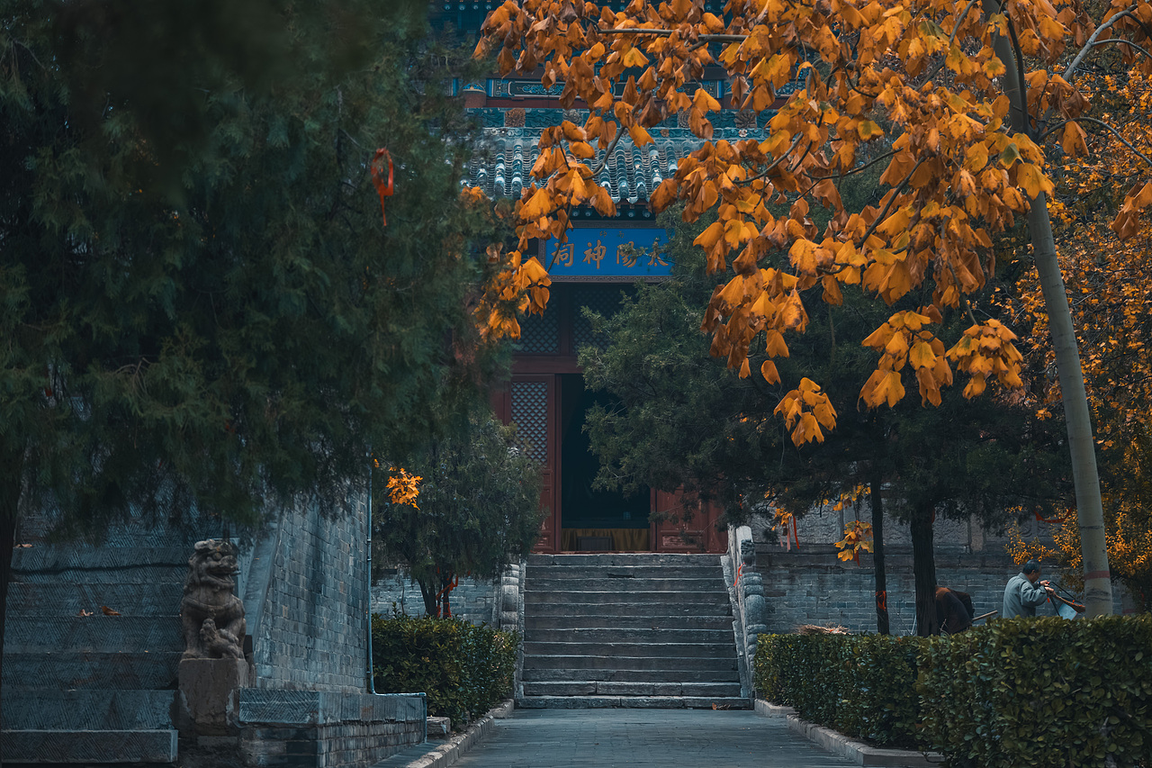 池神庙|低头捡个秋🍂(图ZMzgwODg4Mzg4) - 风光摄影 - 站酷设计师拍片儿的程序员原创素材 - 站酷ZCOOL