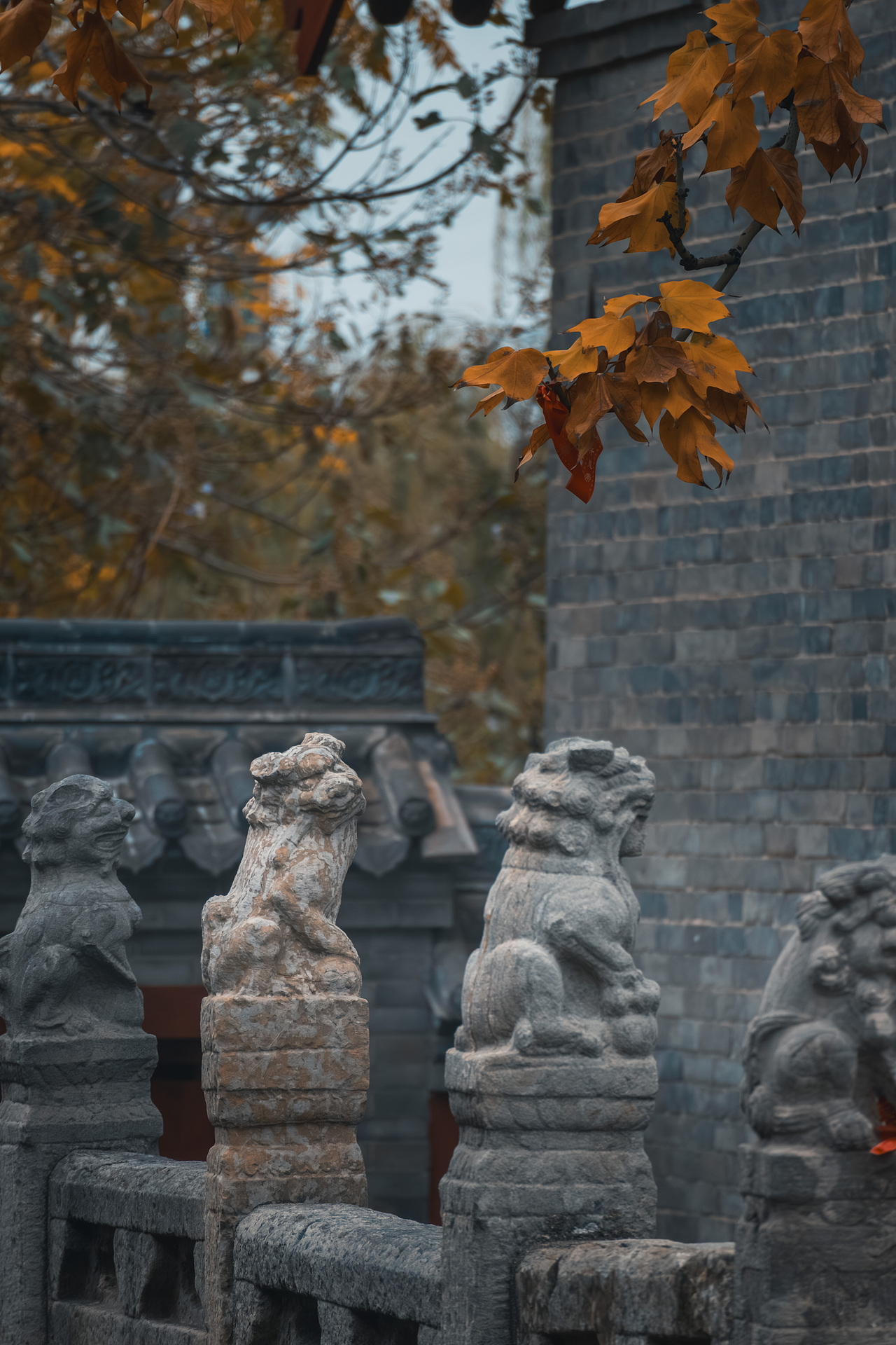 池神庙|低头捡个秋🍂(图ZMzgwODg4NDEy) - 风光摄影 - 站酷设计师拍片儿的程序员原创素材 - 站酷ZCOOL