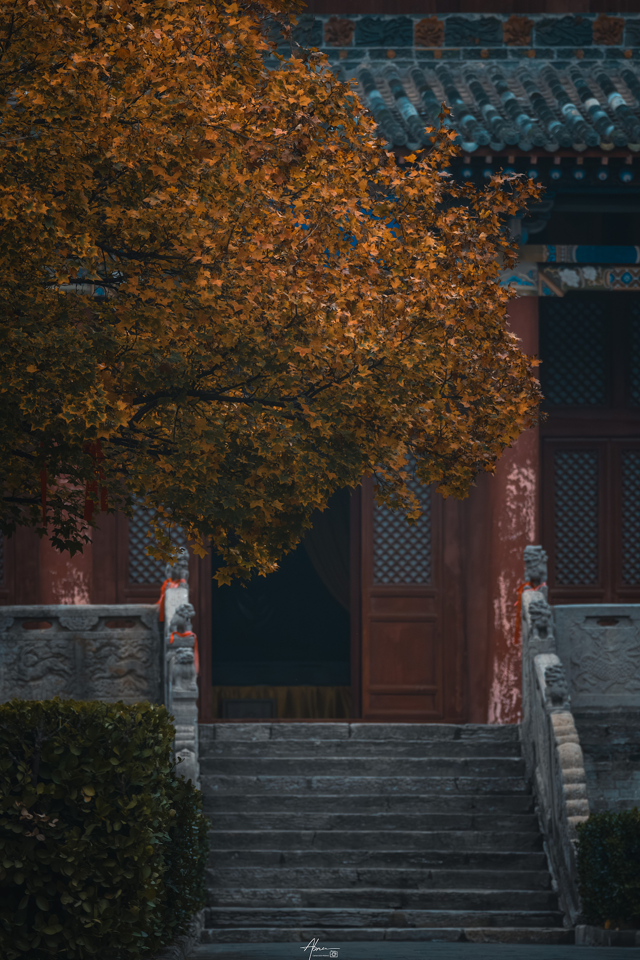 池神庙|低头捡个秋🍂