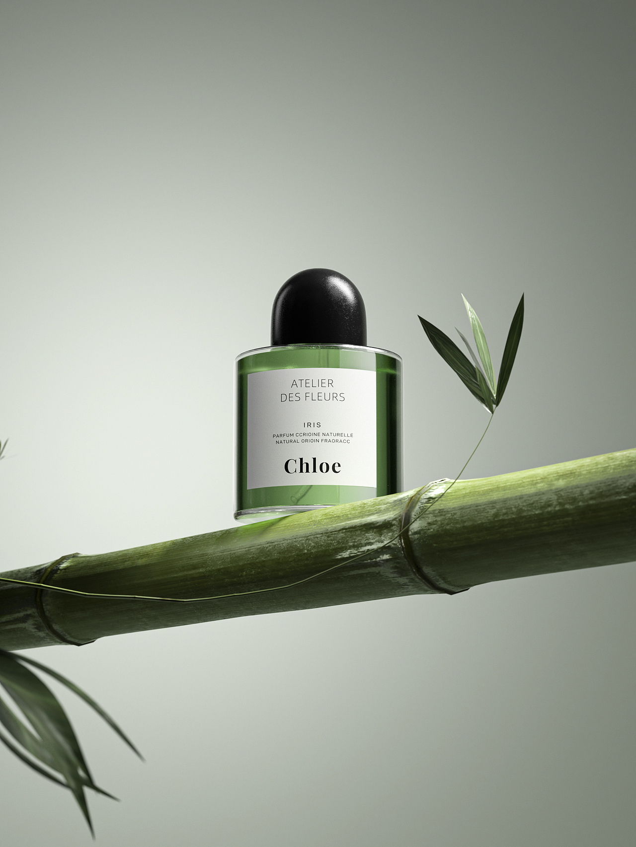 渲染（图ZMzgwODk1Njg0） - 其他 - 站酷设计师爱学习的娃娃菜原创素材 - 站酷ZCOOL