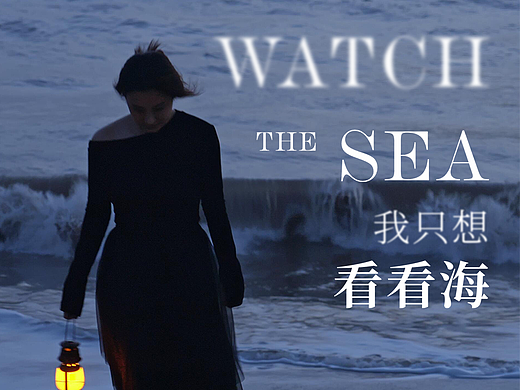 我只想看看海