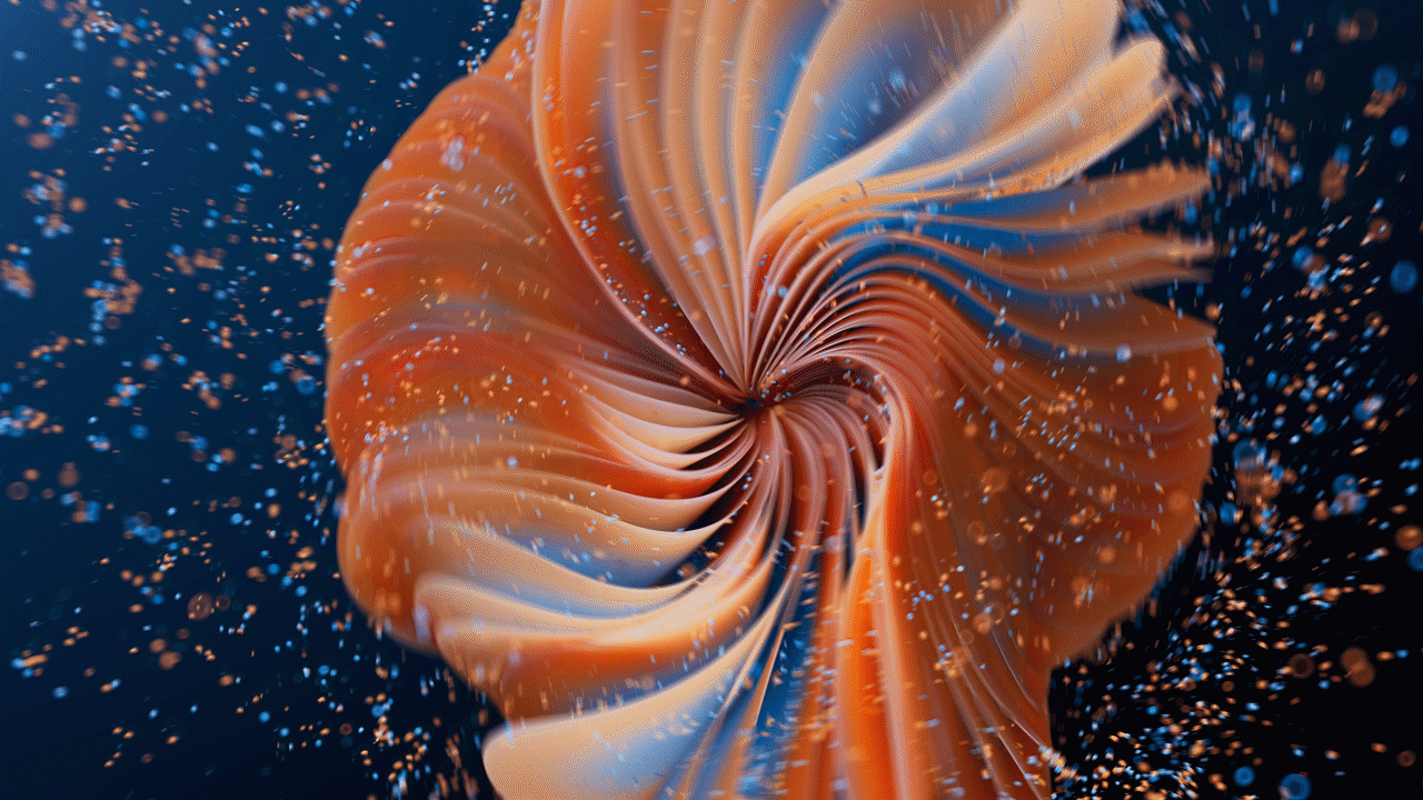 《BOSCH》洗衣机三维动画（图ZMzgwOTE0MzEy） - 动画/影视 - 站酷设计师黑马视觉创意原创素材 - 站酷ZCOOL