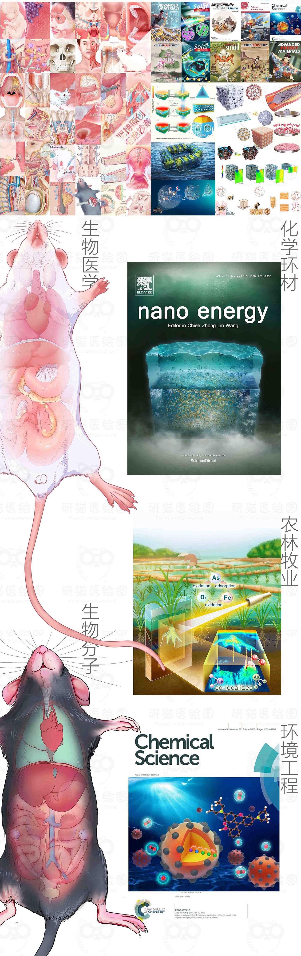 狗蛋带你画顶刊 期刊封面作品 科研绘图（图ZMzgwOTIyNzk2） - 其他平面 - 站酷设计师科研绘图医学插图原创素材 - 站酷ZCOOL