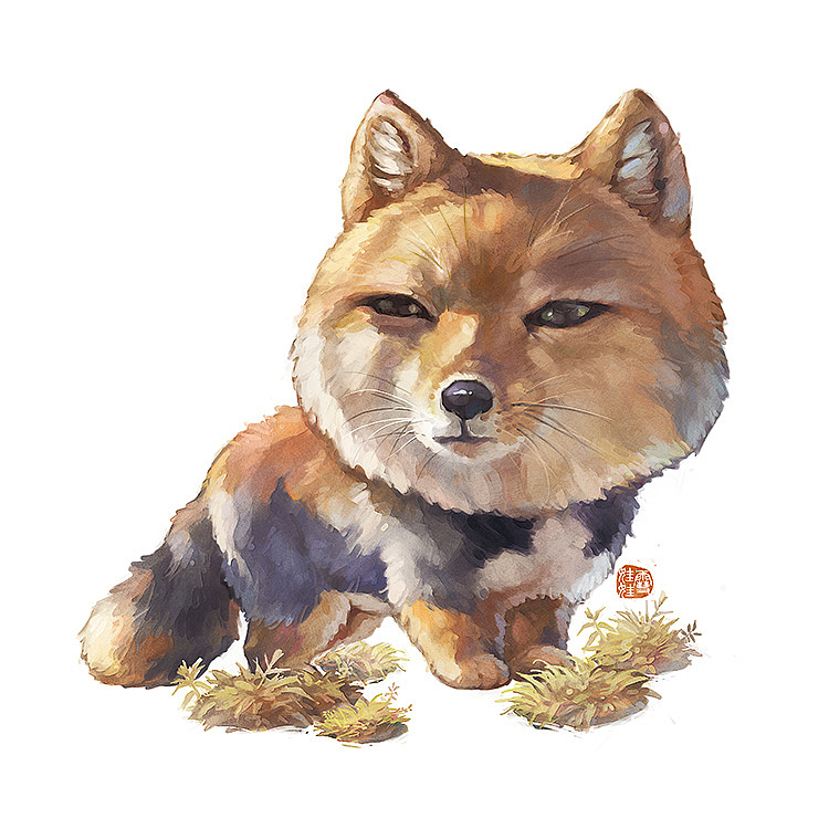 【中国珍稀野生动物】生物多样性（图ZMzgwOTUzODIw） - 商业插画 - 站酷设计师雪娃娃童画原创素材 - 站酷ZCOOL