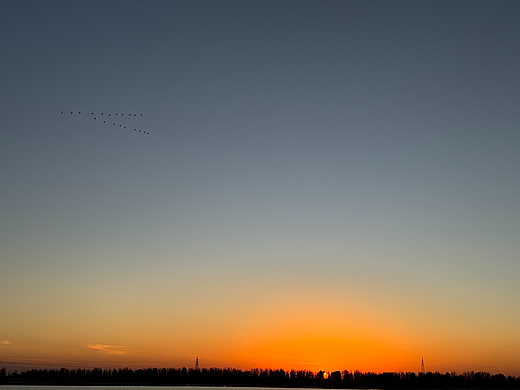 大雁南飞（个人主页-ZNzA4Mjc4ODg=） - 风光摄影 - 站酷设计师籽籽瓜原创素材 - 站酷ZCOOL