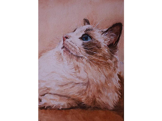 水彩猫猫头